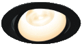D_EX13B