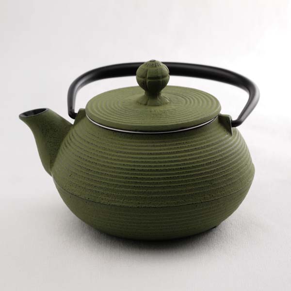 急須 3型線引 若草 320ml≪約2年で出荷予定≫ ( 岩鋳 取っ手付き 茶こし付き 茶器 カラーポット ティーポット 南部鉄器 )