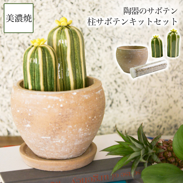 【送料無料】SERA　SABO 陶器のサボテン 桂サボテン 黄色 小・大 キットセット （鉢・ストーン付）≪13時までのご注文即日発送(休業日を除く)≫ ( あすつく フェイクグリーン インテリア 多肉植物 陶器の植物 ギフト 美濃焼 )
