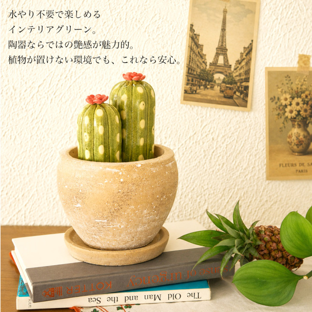 送料無料】 SERA SABO 陶器のサボテン 桂サボテン 赤色 小・大 キット
