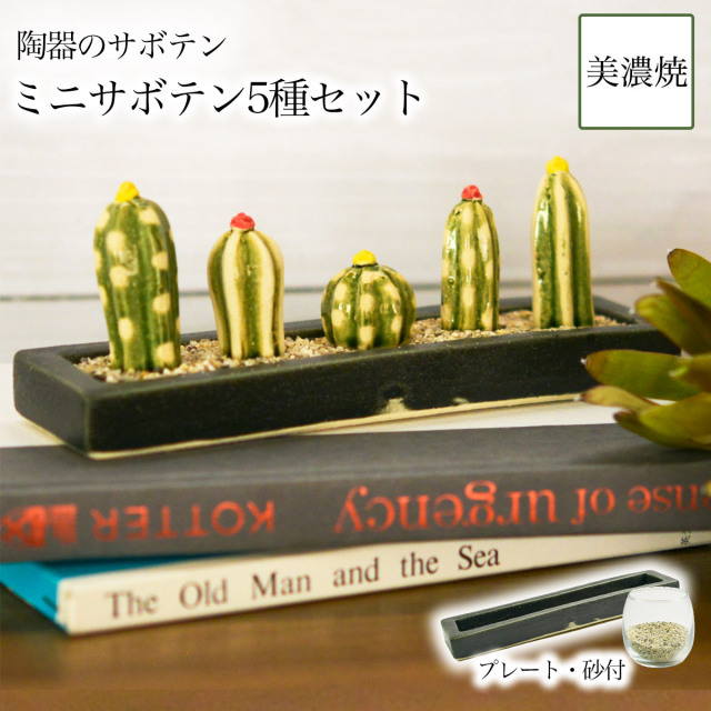 【送料無料】SERA　SABOミニサボテンセット ロングプレート・砂付き≪13時までのご注文即日発送(休業日を除く)≫ ( あすつく 置物 オブジェ フェイクグリーン インテリア サボテン 植物 美濃焼 )
