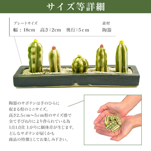 送料無料】 SERA SABOミニサボテンセット ロングプレート・砂付き
