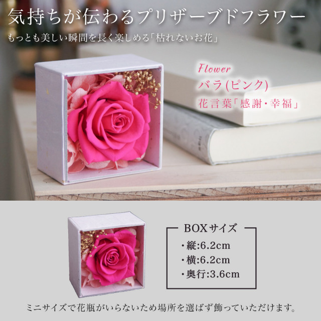 送料無料】 漆芸ソフトコンパクトミラー 選べる 4種類 拡大鏡付き