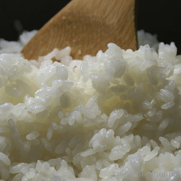 送料無料】 Siセンサー対応かまどさん 三合炊き / 長谷園 ご飯 炊飯