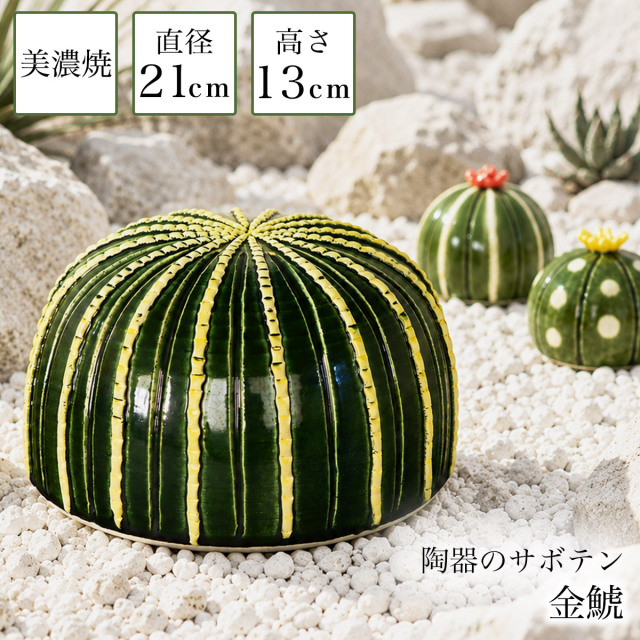 【送料無料】SERA　SABO 陶器のサボテン 金鯱 単品≪13時までのご注文即日発送(休業日を除く)≫ ( あすつく 置物 庭 フェイクグリーン ロックガーデン インテリア 美濃焼 )