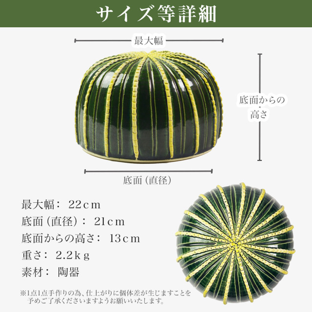 送料無料】 SERA SABO 陶器のサボテン 金鯱 単品 / 置物 庭 フェイク