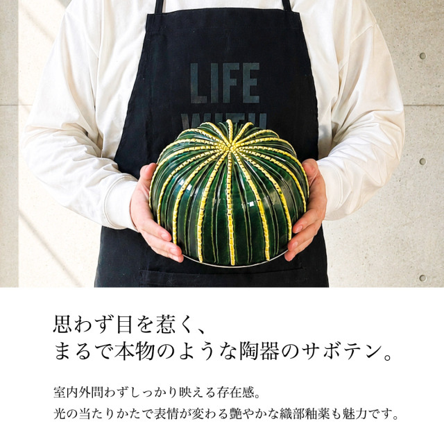 送料無料】 SERA SABO 陶器のサボテン 金鯱 単品 / 置物 庭 フェイク