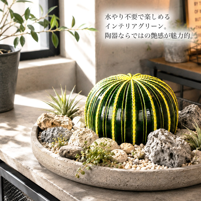 送料無料】 SERA SABO 陶器のサボテン 金鯱 単品 / 置物 庭 フェイク