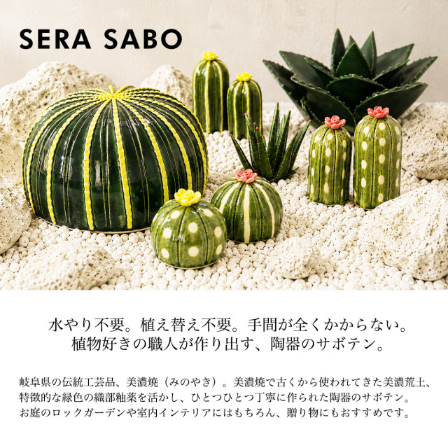 送料無料】 SERA SABO 陶器のアガベ パリ― 単品 / 置物 オブジェ 庭