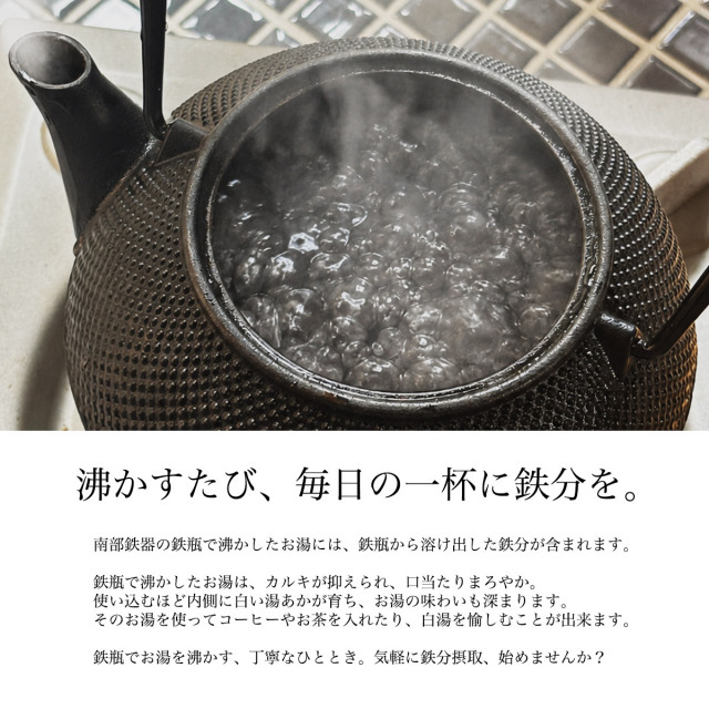 鉄瓶兼用急須 新アラレ 直火用 3型 320ml 茶こし付き / 岩鋳 南部鉄器
