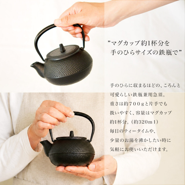 鉄瓶兼用急須 新アラレ 直火用 3型 320ml 茶こし付き / 岩鋳 南部鉄器