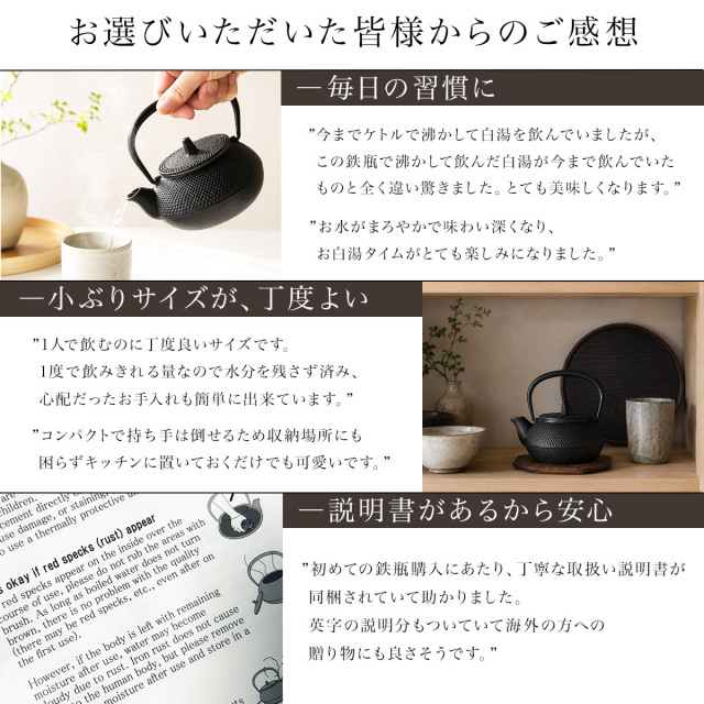 鉄瓶兼用急須 新アラレ 直火用 3型 320ml 茶こし付き / 岩鋳 南部鉄器