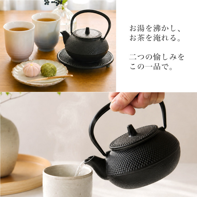 鉄瓶兼用急須 新アラレ 直火用 3型 320ml 茶こし付き / 岩鋳 南部鉄器
