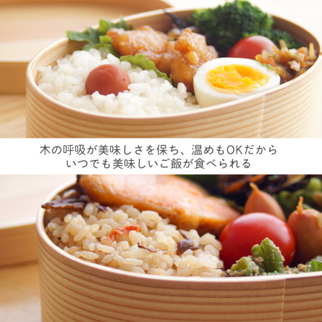 木製 曲げわっぱ 弁当箱 レンジ対応・食洗機対応 Okome no otomo L
