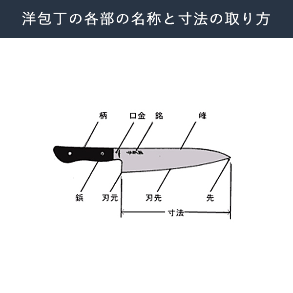 送料無料】 洋包丁 堺菊守 日本鋼（口金付） 牛刀 180mm 1本 名