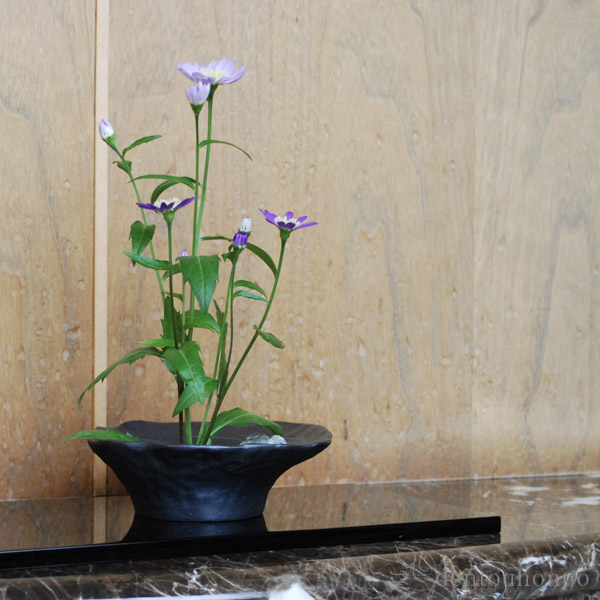 送料無料】 水盤 雫影 すいれん 消炭色 剣山付 / 花器 いけばな 生け花