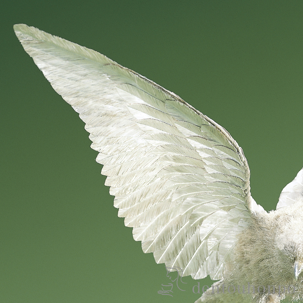 送料無料】 銀製 白鷹 D 120g / 光則（銀工芸） 高級 コレクション