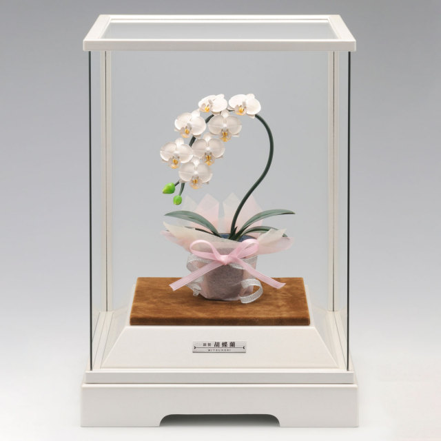 送料無料】 銀製 胡蝶蘭 白 DX 53g / 高級 コレクション 美術品