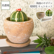 【送料無料】SERA　SABO 陶器のサボテン 瑠璃兜 赤色 キットセット （鉢・ストーン付）≪13時までのご注文即日発送(休業日を除く)≫ ( あすつく フェイクグリーン インテリア 多肉植物 陶器の植物 ギフト 美濃焼 )