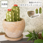 【送料無料】SERA　SABO 陶器のサボテン 桂サボテン 赤色 小・大 キットセット （鉢・ストーン付）≪13時までのご注文即日発送(休業日を除く)≫ ( あすつく フェイクグリーン インテリア 多肉植物 陶器の植物 ギフト 美濃焼 )