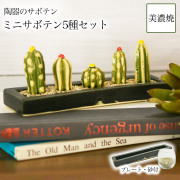 【送料無料】SERA　SABOミニサボテンセット ロングプレート・砂付き≪13時までのご注文即日発送(休業日を除く)≫ ( あすつく 置物 オブジェ フェイクグリーン インテリア サボテン 植物 美濃焼 )