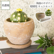 【送料無料】SERA　SABO　 陶器のサボテン 瑠璃兜 黄色 キットセット （鉢・ストーン付）≪13時までのご注文即日発送(休業日を除く)≫ ( あすつく フェイクグリーン インテリア 多肉植物 陶器の植物 ギフト 美濃焼 )