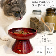 ペット用 木製フードボウル 茜すり 小 手書き名入れ付き≪在庫確認後、10~14営業日程で出荷≫ ( 猫用 犬用 ネコ 猫 ペット用品 山中漆器 )