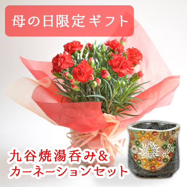 【送料無料】九谷焼 湯呑＆鉢植えセット 湯呑 金花詰 色おまかせカーネーション セット≪売り切れました≫ ( 母の日 プレゼント 初任給 カーネーション 生花 湯飲み カーネーションセット 陶器 九谷焼 九谷焼 )