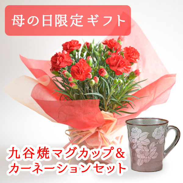 【送料無料】九谷焼 マグカップ＆鉢植えセット マグカップ 銀彩山茶花ピンク 色おまかせカーネーション≪売り切れました≫ ( 母の日 プレゼント 初任給 カーネーション マグカップ 母の日ギフト 陶器 おすすめ 九谷焼 九谷焼 )