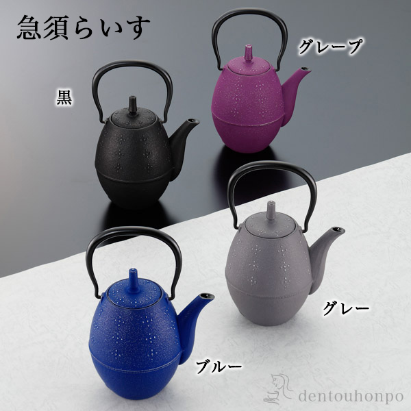 【送料無料】急須 らいす 選べる4色／黒／グレープ／ブルー／グレー 600ml 茶こし付≪売り切れました≫ ( 岩鋳 ティーポット お茶 煎茶 日本茶 おすすめ 南部鉄器 )