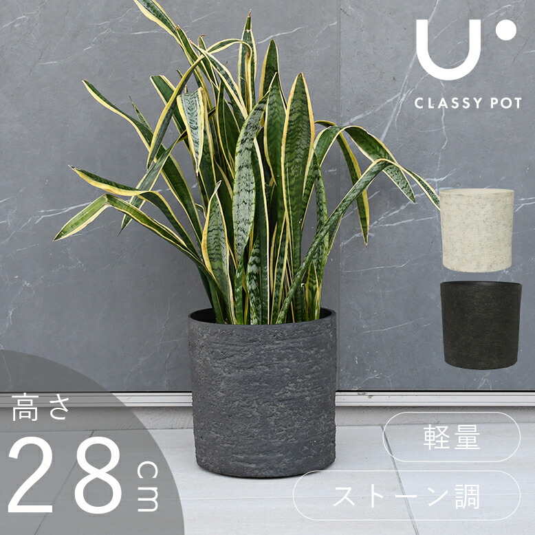 先行予約9月中旬入荷予定 classypot 植木鉢 クラッシーポット ナチュラル シリンダー 高さ28cm