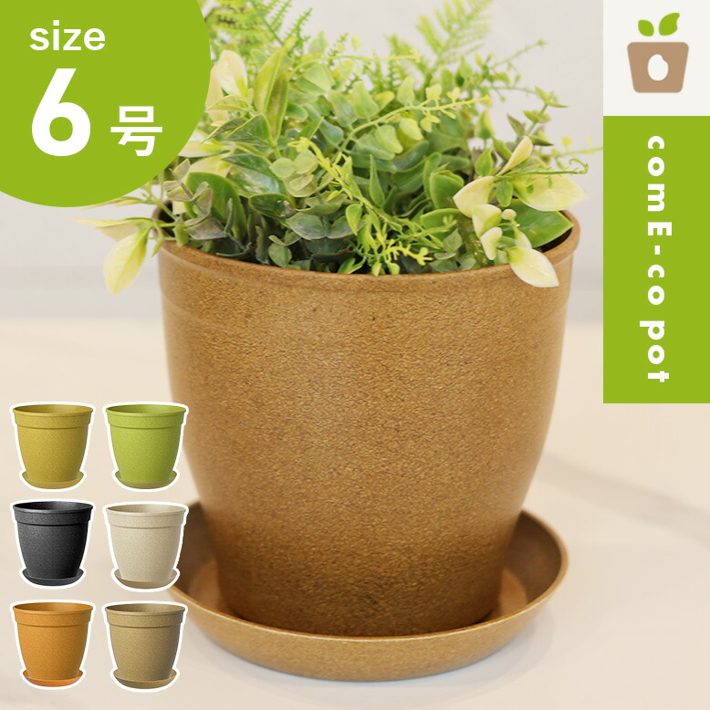 コメエコポット　Come-co pot 6号 高さ17cm