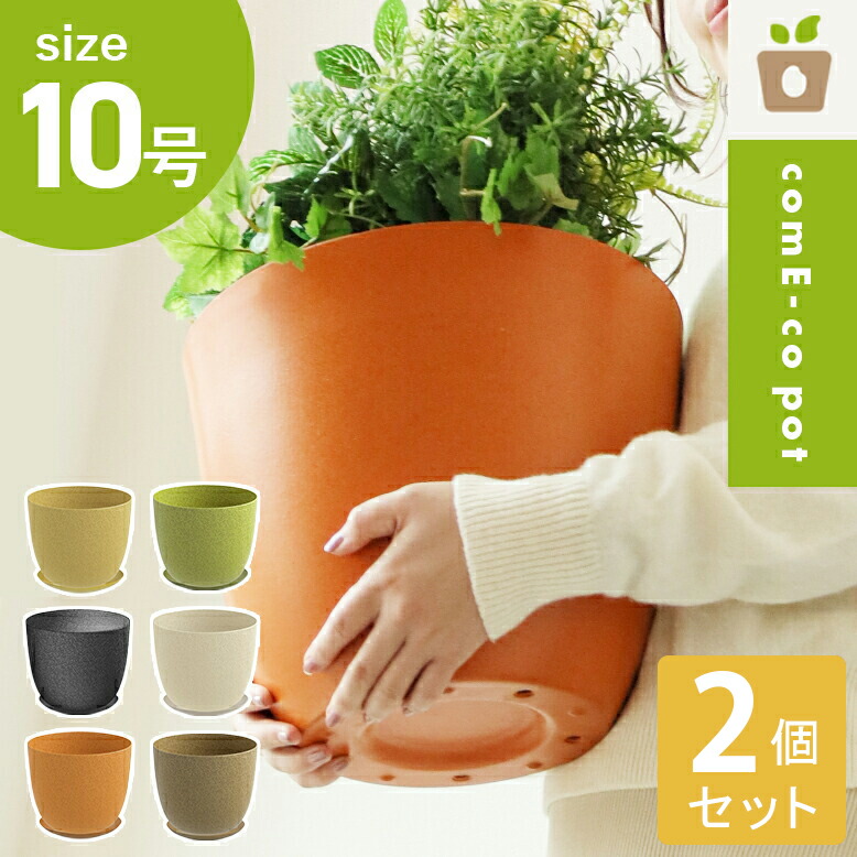 Come-co pot コメエコポット 10号 2個セット【送料無料】