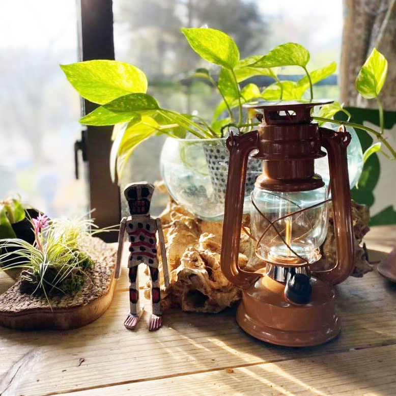 ルミエールランタン キャメル 【送料無料】