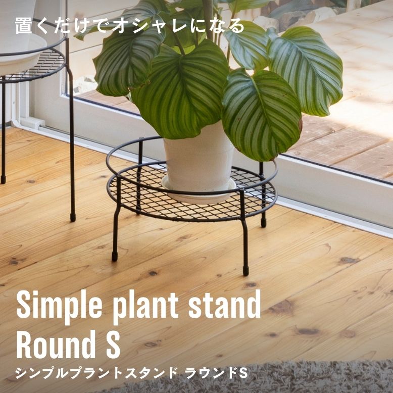 シンプルプラントスタンド ラウンド S【送料無料】
