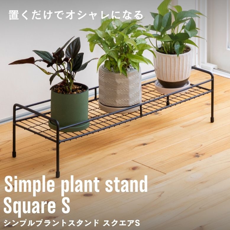 シンプルプラントスタンド スクエア S【送料無料】