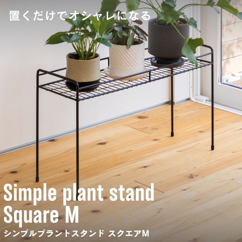 シンプルプラントスタンド スクエア M【送料無料】