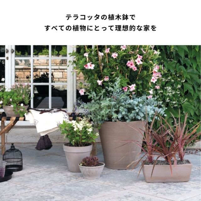 DEROMA デロマ トールポット 25.5×29cm 受け皿付き