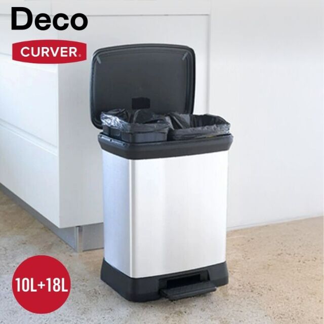 Can 同梱値引き Billbergia Marble S子株付き Z－253 BS黒本体（B