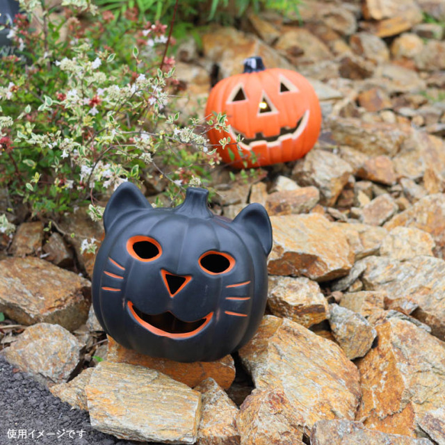ハロウィンマイケルズボックスkamesan専用 ハロウィンマイケルズボックスkamesan専用