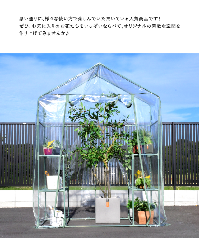 ビニール温室 DEPOS ビニール 温室 ワイド セージグリーン ML0609-sagegreen