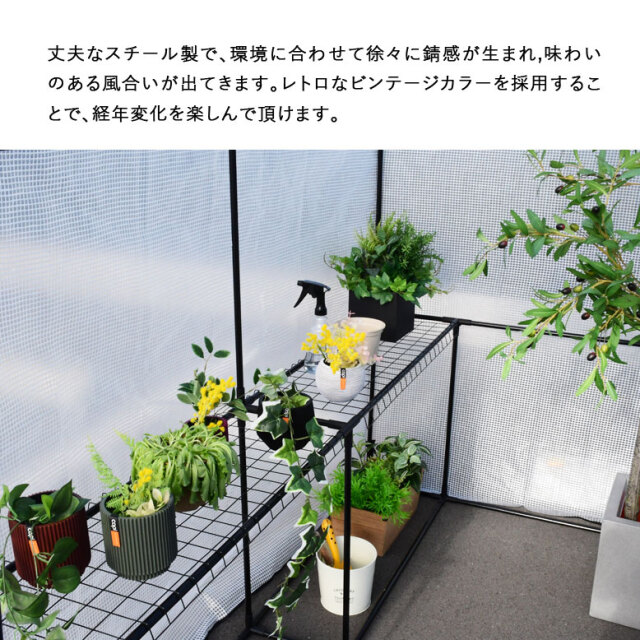 DEPOS ビニール 温室 ビッグ ブラック MLE1601-black