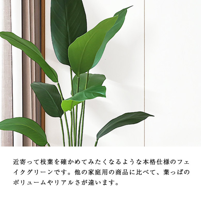 フェイクグリーン  ストレチア　消臭　大型 楽天市場】ストレリチア ストレチア フェイクグリーン 大型