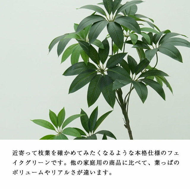 フェイクグリーン パキラ 170cm Get Rich Tree