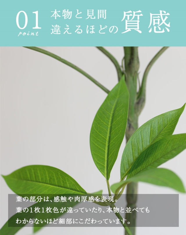 フェイクグリーン パキラ 170cm Get Rich Tree