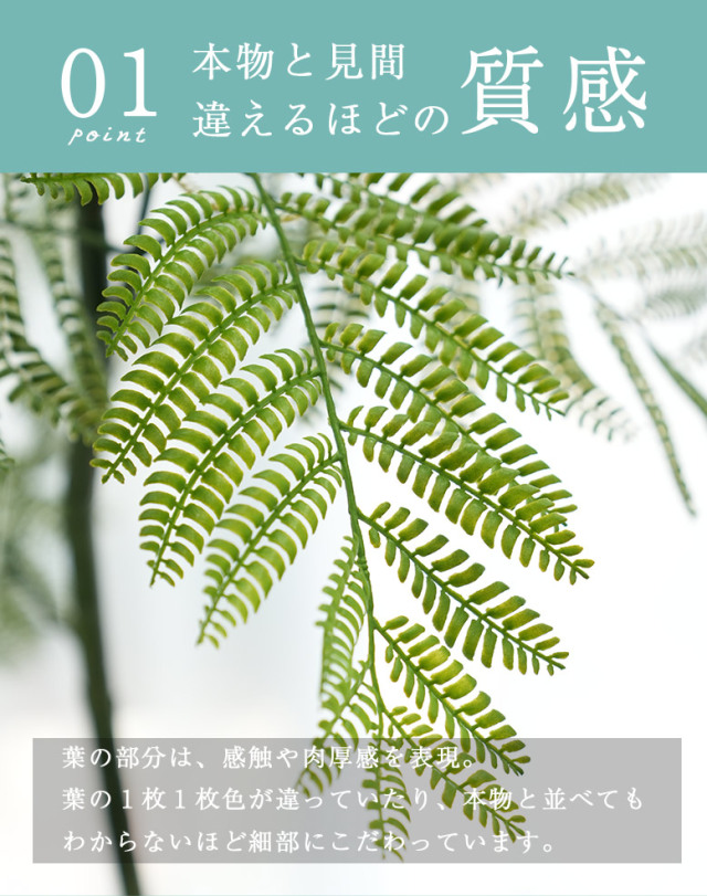 フェイクグリーン ジャカランダ 170cm Jacaranda