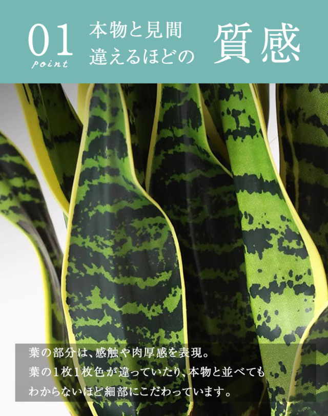 要確認◆◇◇◇フェイクグリーン　サンセベリア（ポリ製） 高さ77cm 屋外使用可 4570190994848-1.jpg