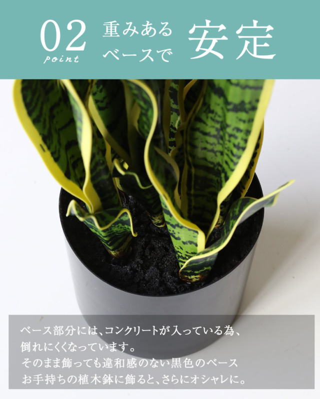 要確認◆◇◇◇フェイクグリーン　サンセベリア（ポリ製） 高さ77cm 屋外使用可 楽天市場】先行予約8月下旬頃入荷予定 レビュー特典付き