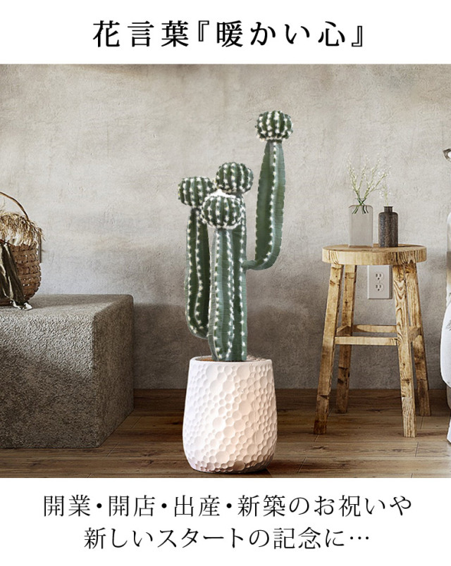 4570190994855-13.jpg?t=