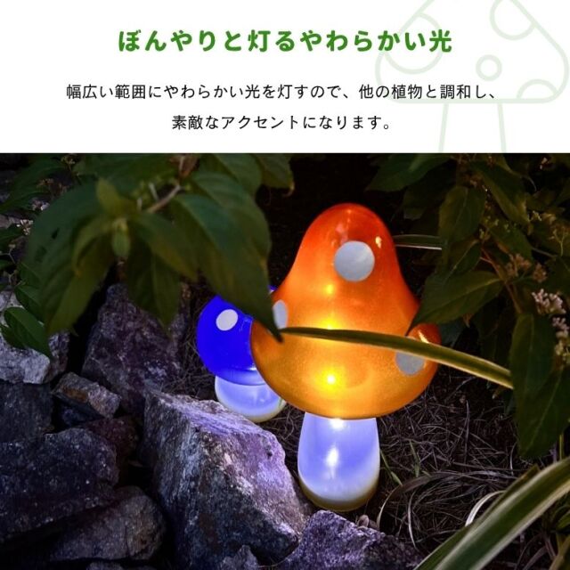 ☆きのこ☆ きのこライト2set